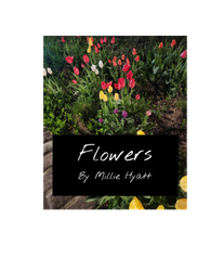 Cover art