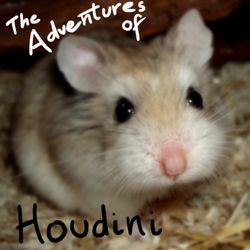 Cover art